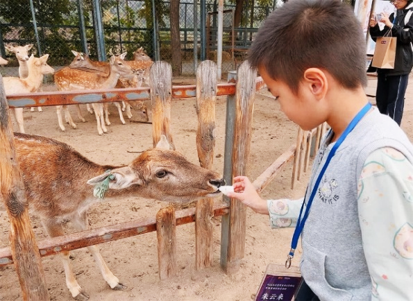 image9.png image9.png